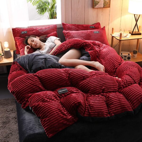 Coral Velvet Duvet 4pcs 6by6 - Image 2
