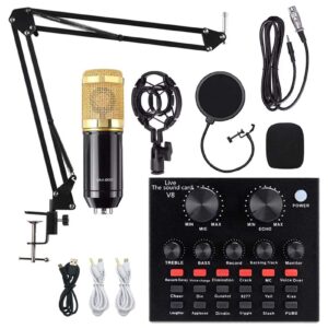 Professional Condenser Microphone