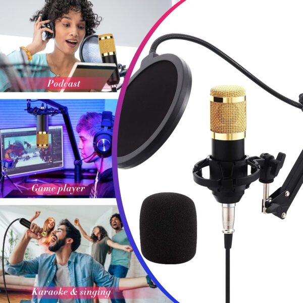 Professional Condenser Microphone - Image 6