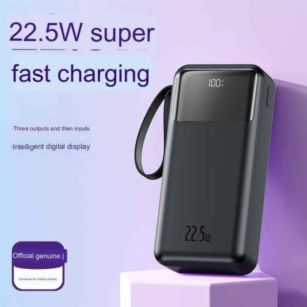 PURE PR-910 40000mAh Fast Charging 22.5W Type-C in & out with built-in USB - Image 2