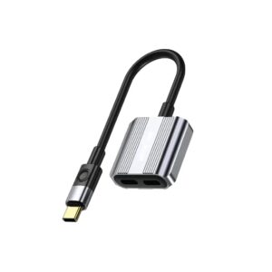 Green Lion 2 In 1 Splitter Adapter Type-C to AUX & Type-C