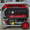 Edon Petrol Generator PT-RWDI3000A-5