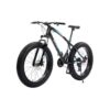 Fat Tire Mountain Bike, 26 Inch Size, 7 Gears